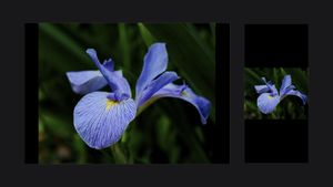 Why your X2D II files look better on iPad than iPhone
