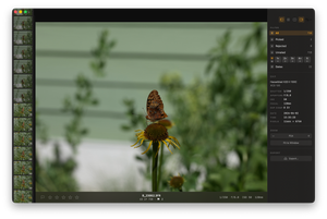 Culling a 1,500-Frame Hasselblad Shoot in Fifteen Minutes