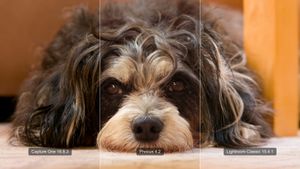 Phocus, Capture One, or Lightroom? I Measured Instead of Guessing