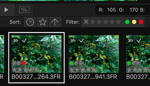 Phocus Quietly Fixed a Bug I Reported 231 Days Ago