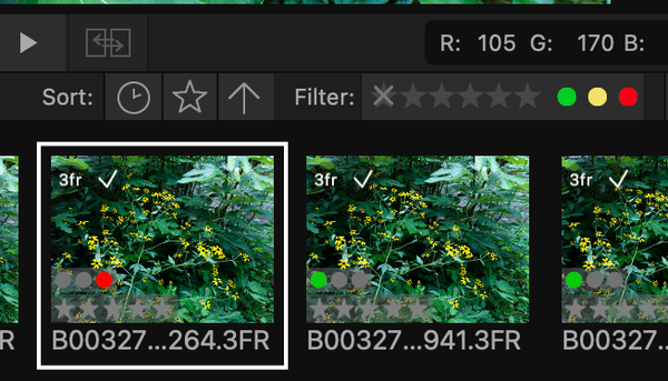 Phocus Quietly Fixed a Bug I Reported 231 Days Ago