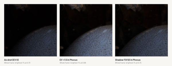 Turning the Phocus Hot Folder Into a Batch Processor