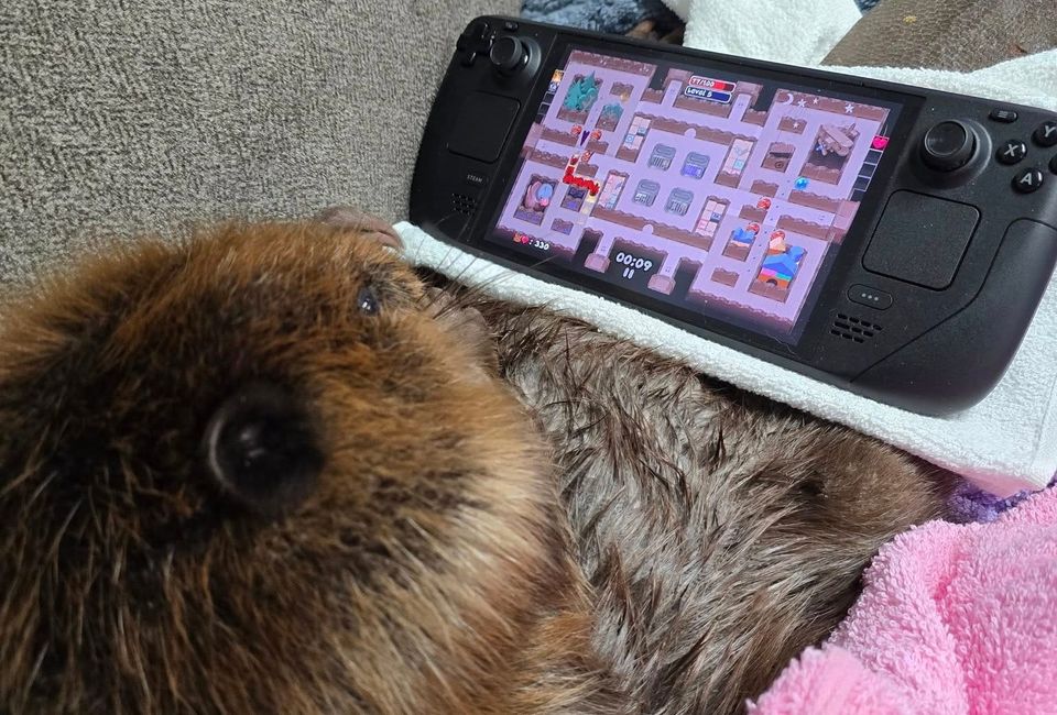 TrampolineTales made a $10,000 donation to The Pipsqueakery