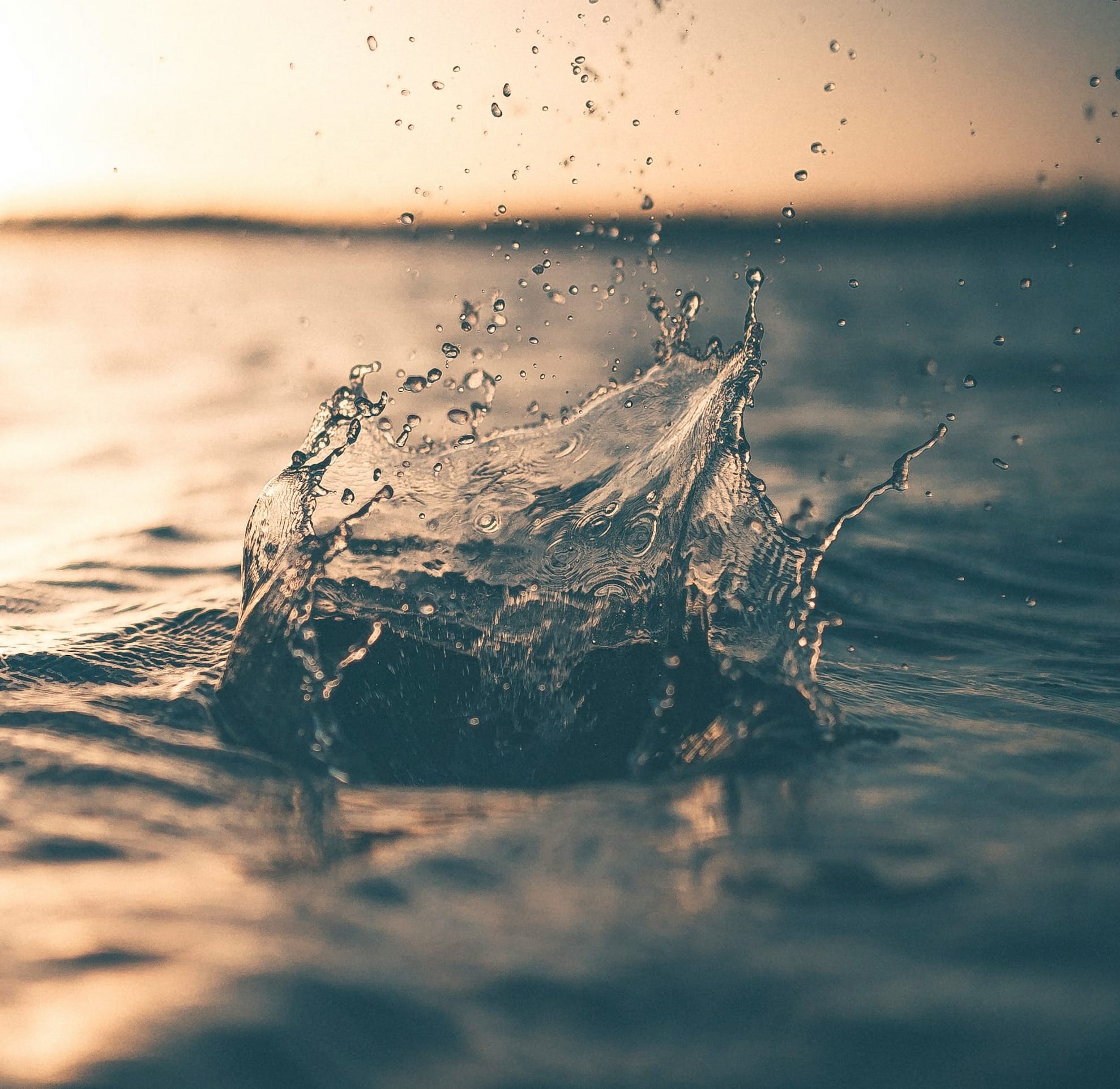 Liquidity: What it is and Why Its Important