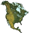 Host