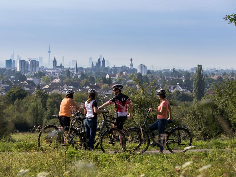 4 ciclistas en el campo contemplando la ciudad de Fráncfort a lo lejos