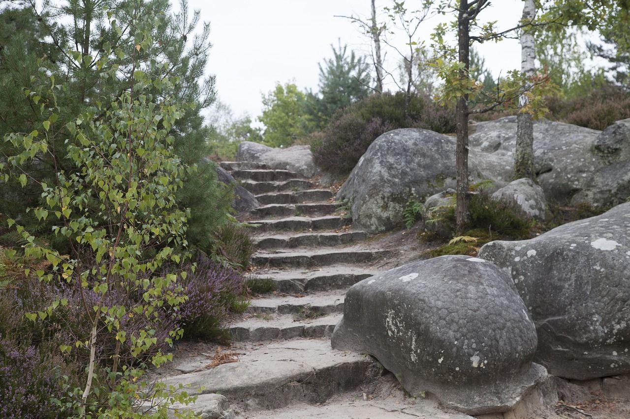 Paisagem natural e verde de Fontainebleau