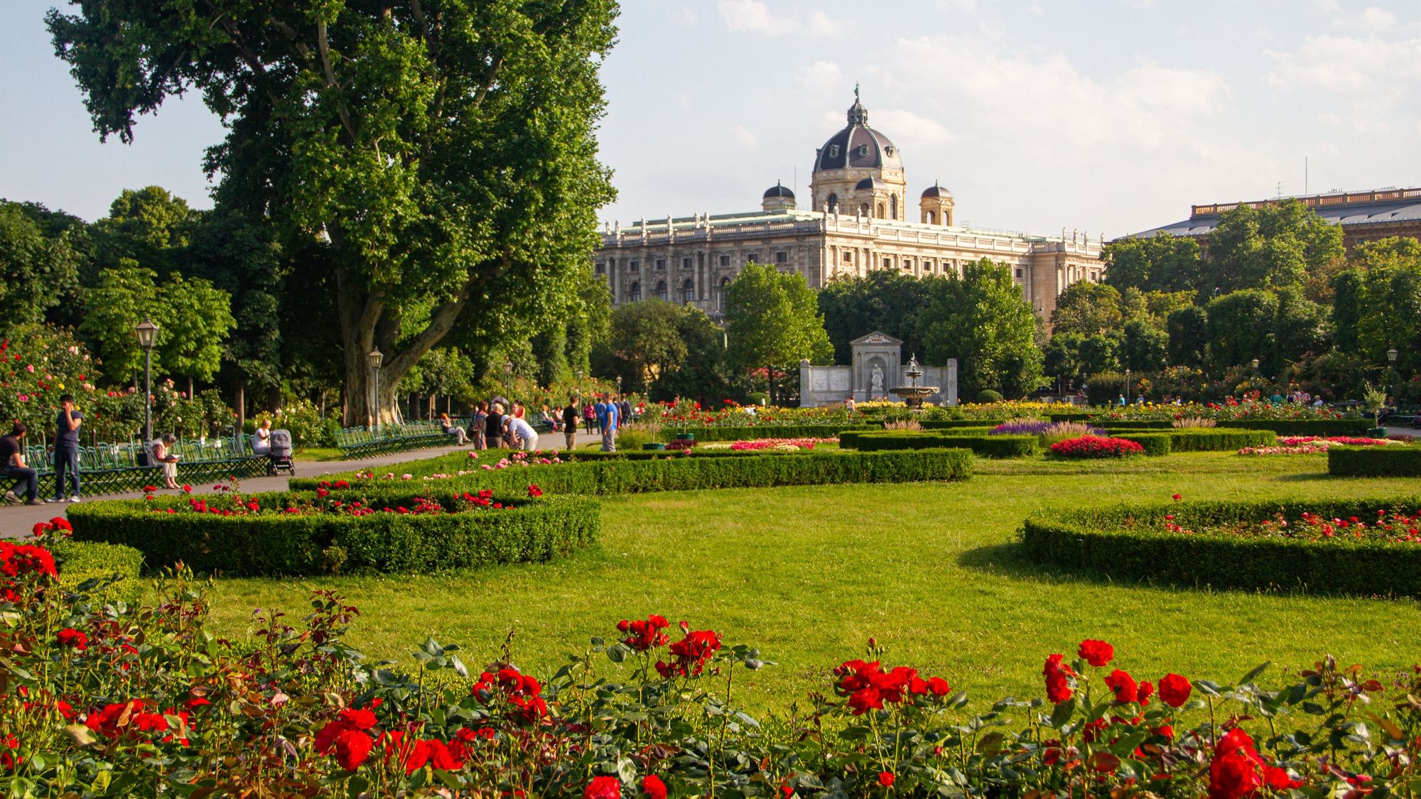 Rote Tulpen und grünes Gras im Volksgarten