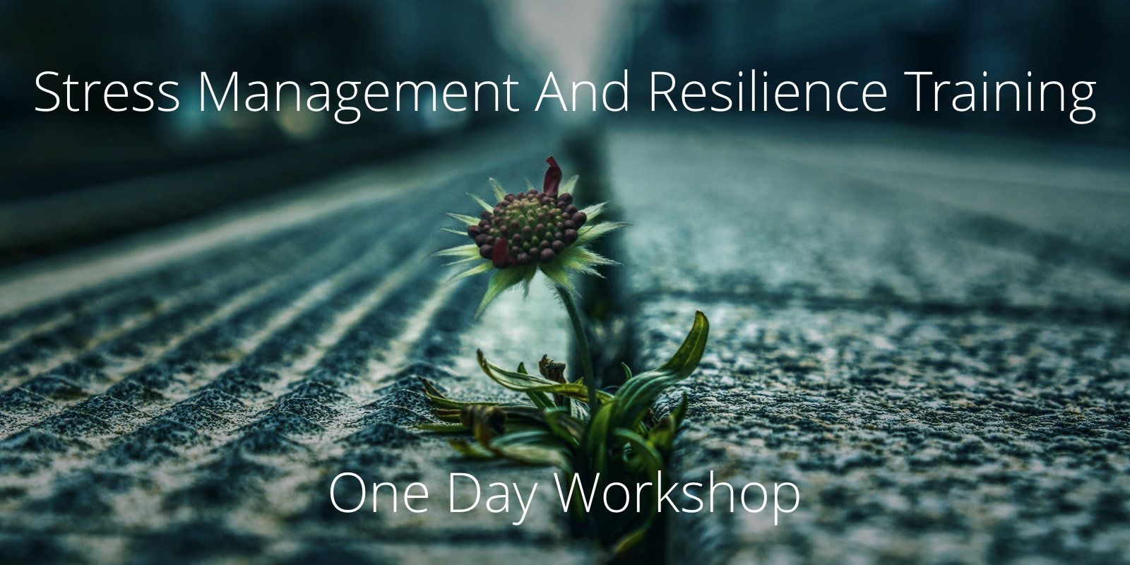 SMART Workshop 1 - 7 August