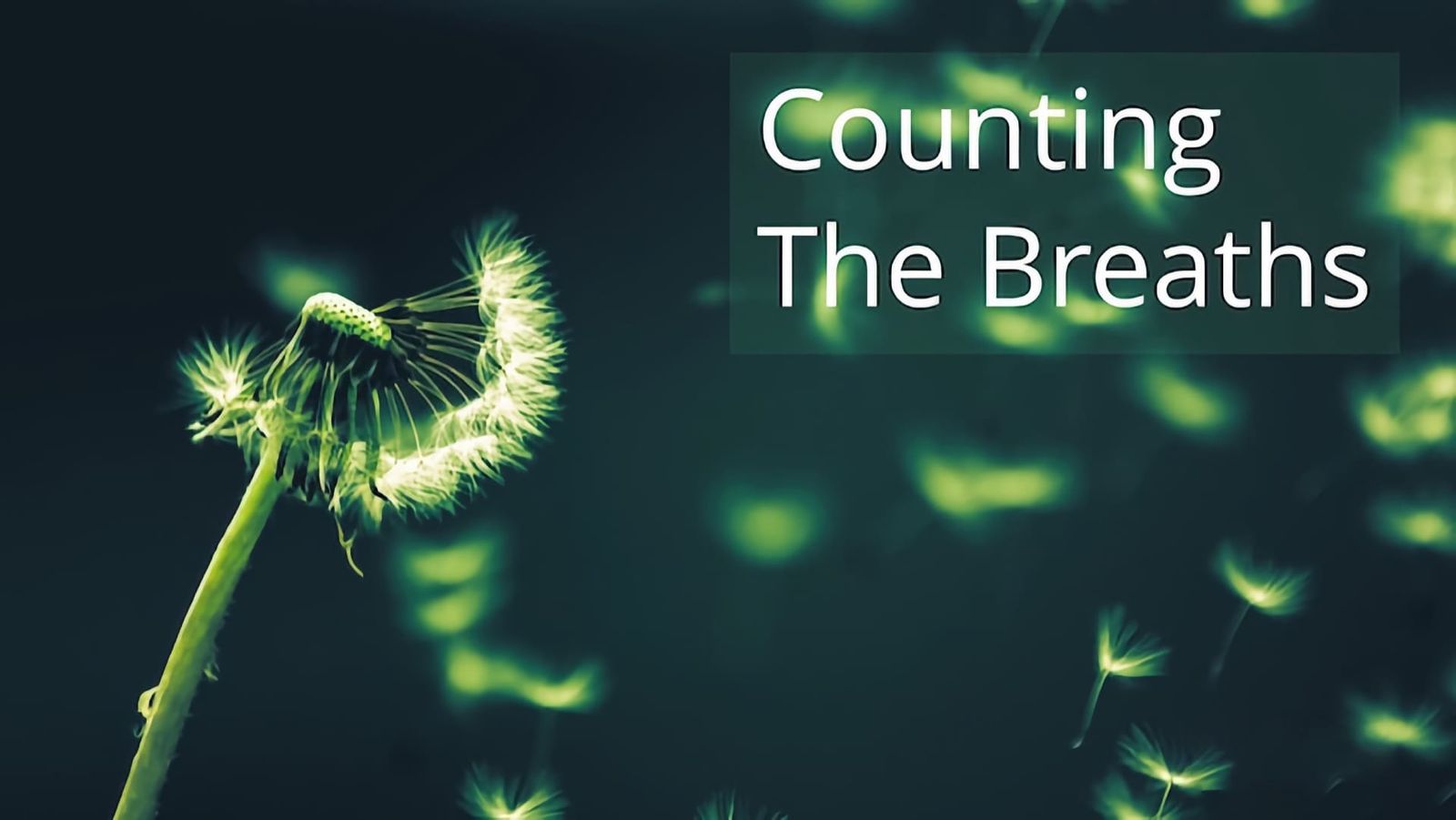 Counting the Breaths Short guided intro
