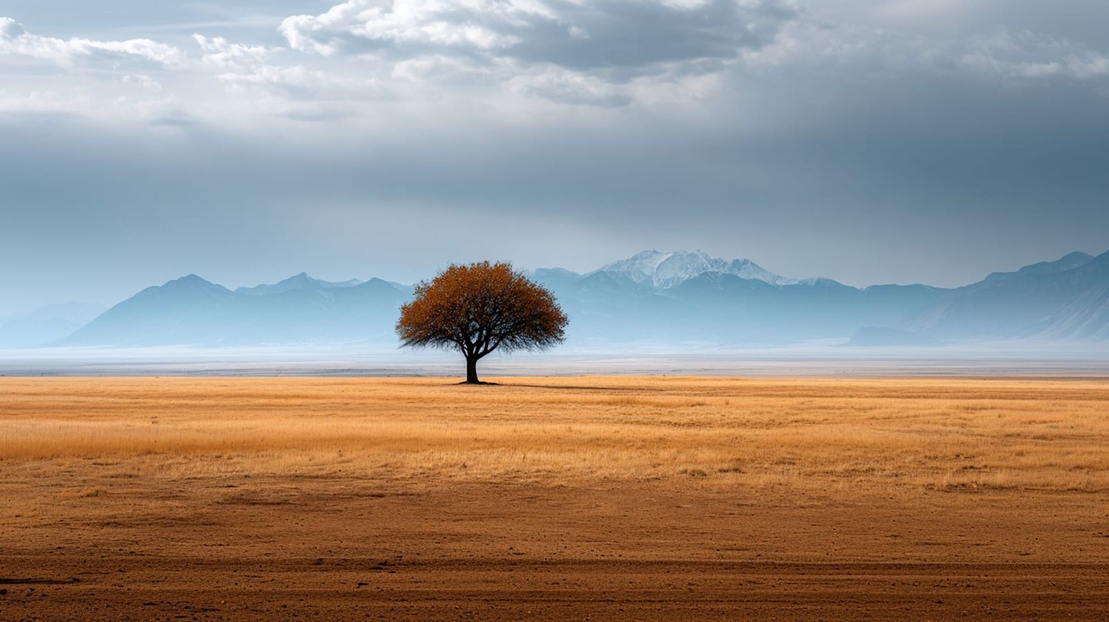 Weekly Insights on Resilience and The January Update - Sunday 11 January