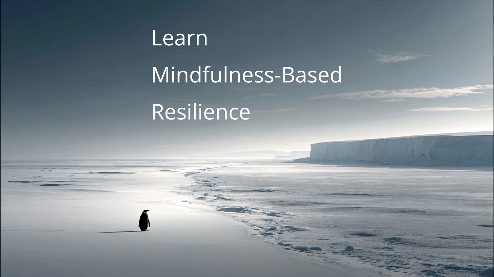 Mindfulness-Based Resilience - Sat 28 March 2026