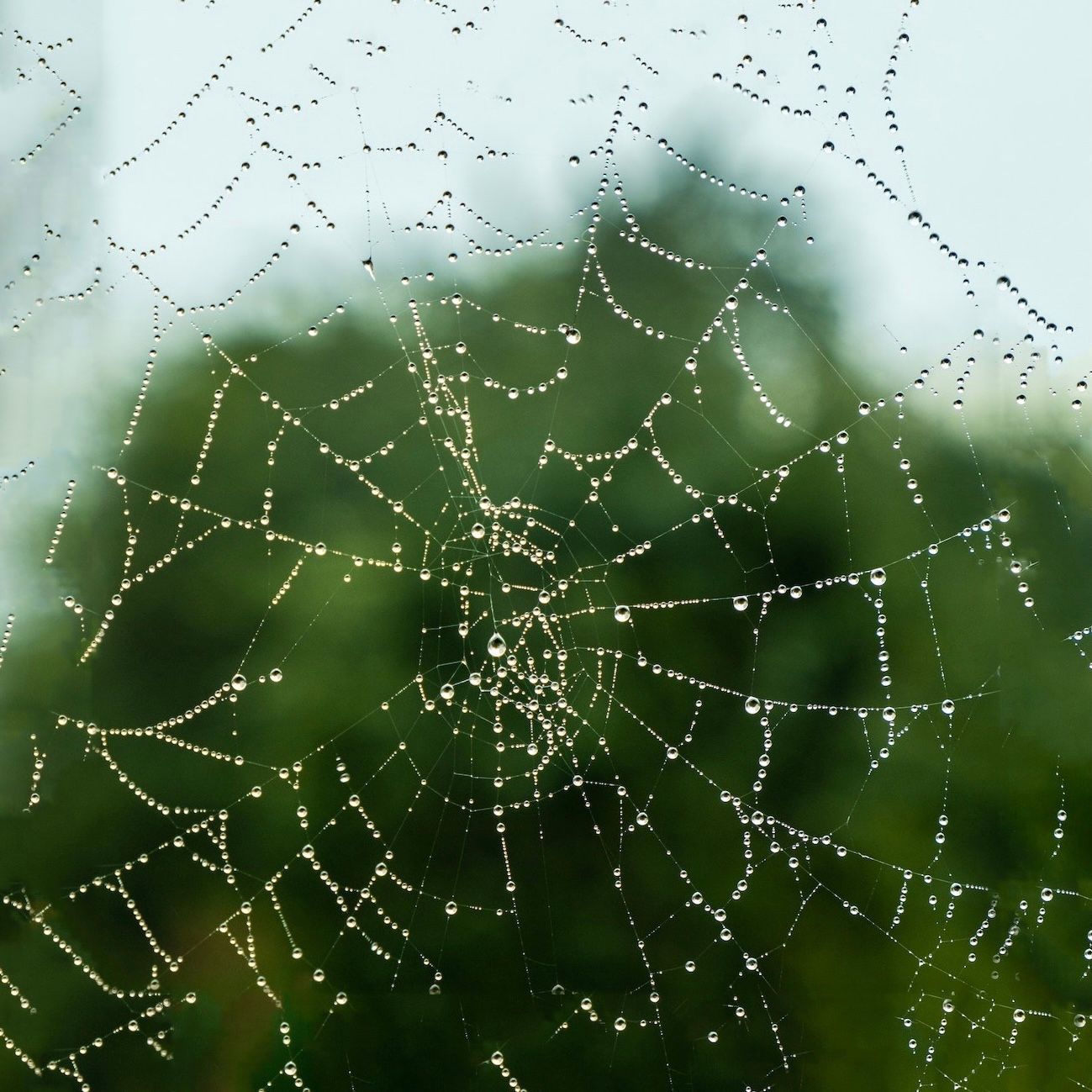 How To Build Resilience