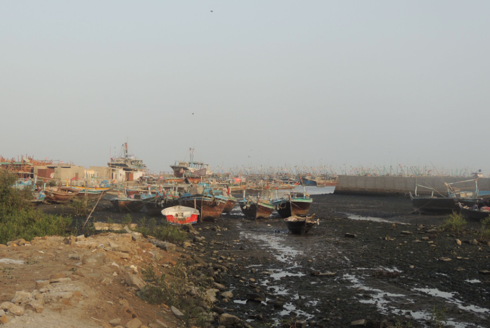 Archiving the Coast | Digital Activism on Karachi’s Coastline