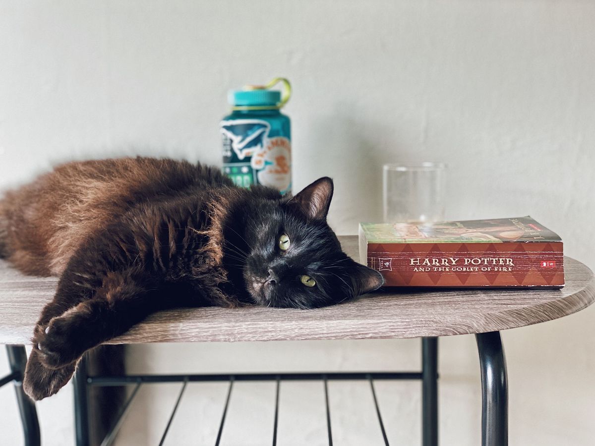 Feeling Rough and Not Getting Anything Done? Take a Minimum Viable Day