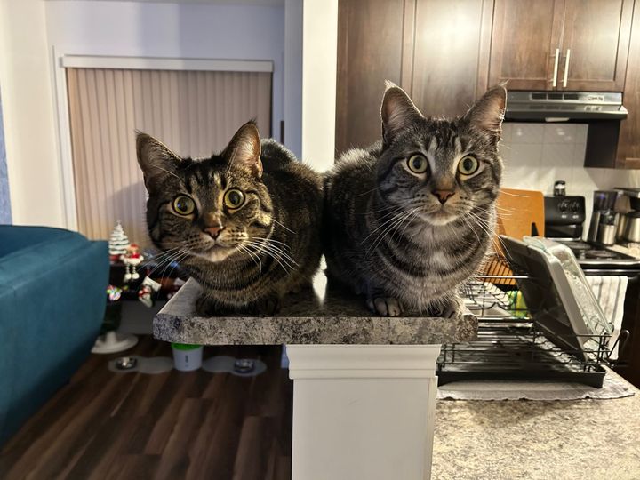 My 2023 Annual Reflection:  Space for What Matters, Celebrating Wins, and My Successful Year