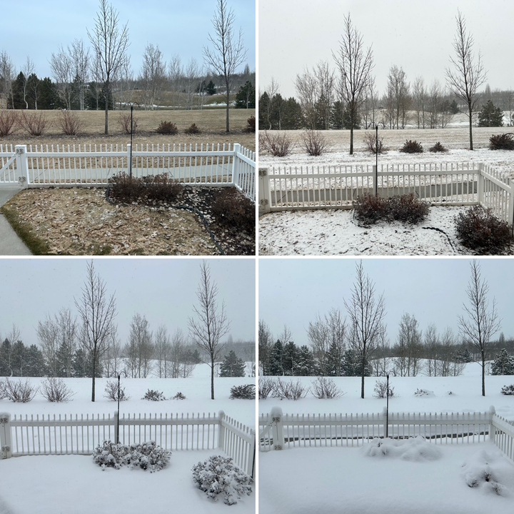 The Only Thing I'm Certain Of