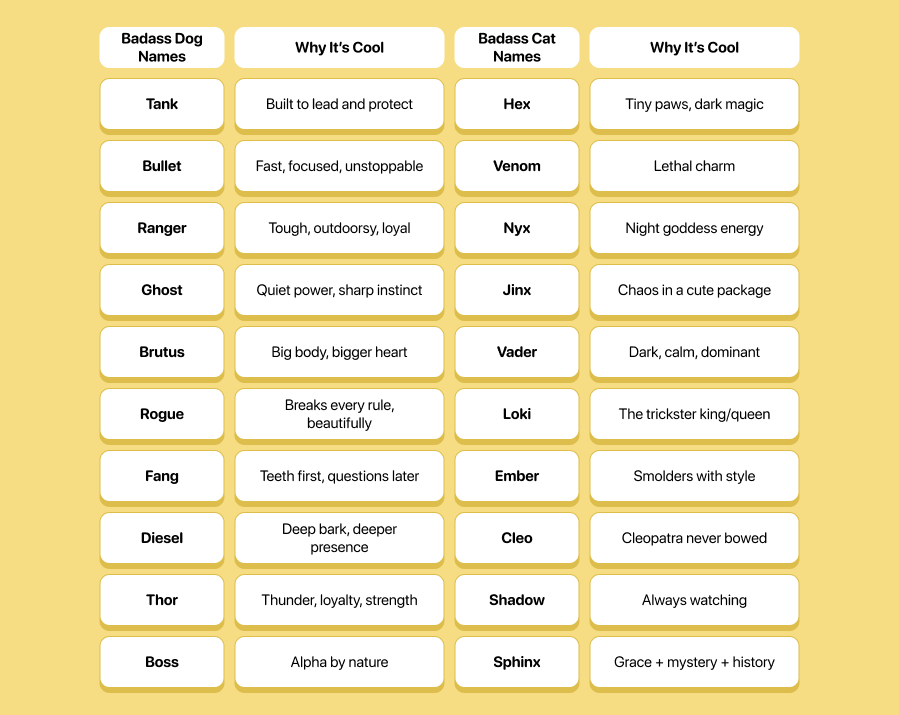 Strong and Badass Names for Pets