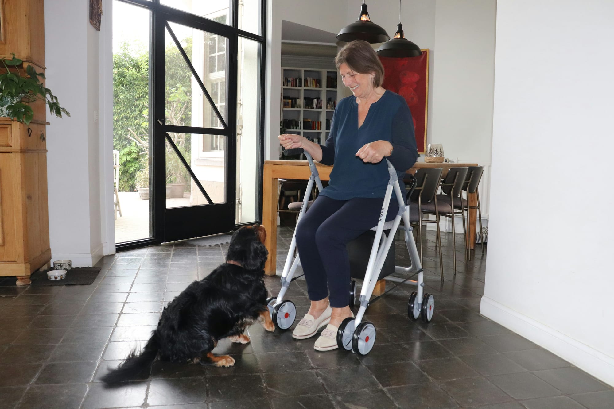 Rollator Walker