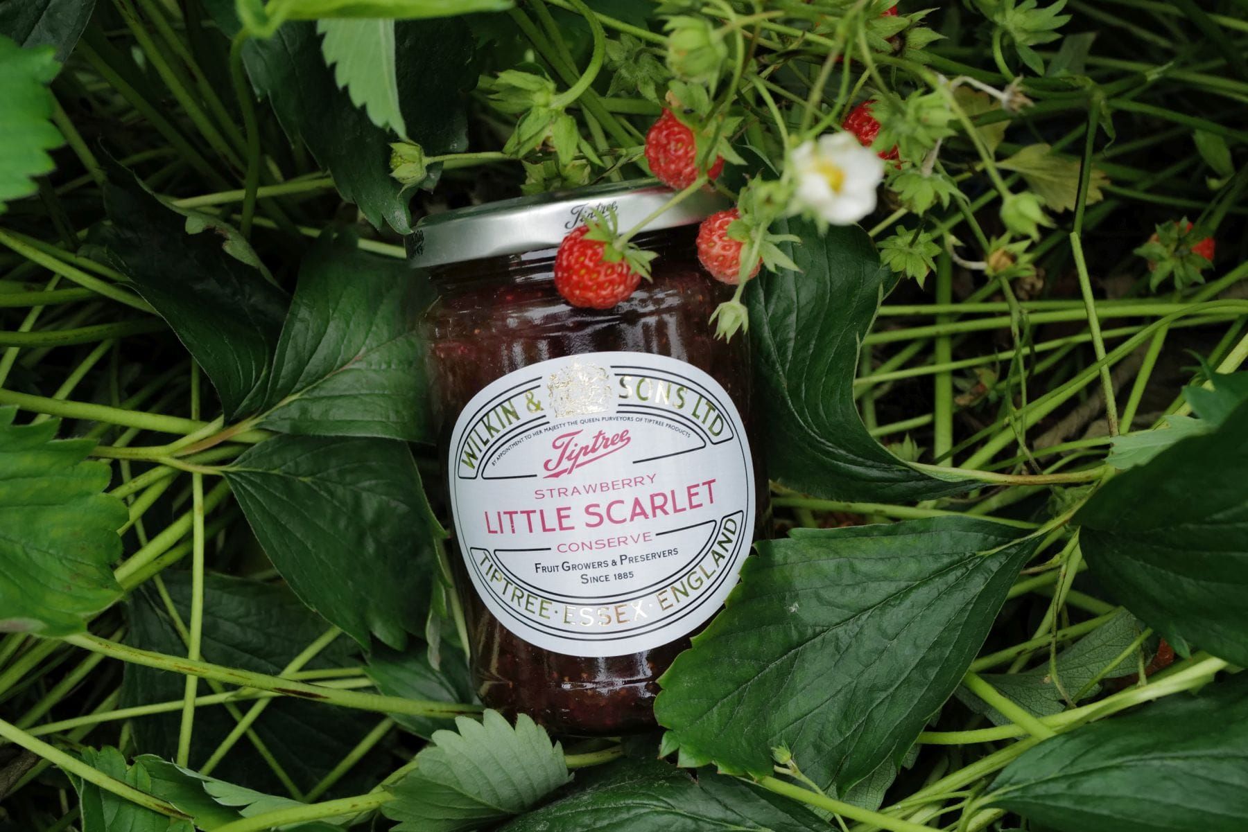 🇬🇧 Luxus fürs Frühstück: Warum diese Erdbeermarmelade ein Statement ist