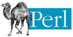 Using Perl to Execute Remote Commands
