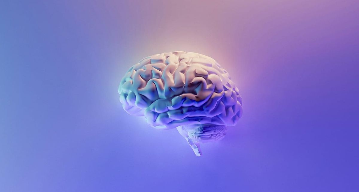 The Cognitive Benefits of Weightlifting: A Coach's Perspective