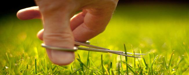 Not What You Do; It's How You Do It