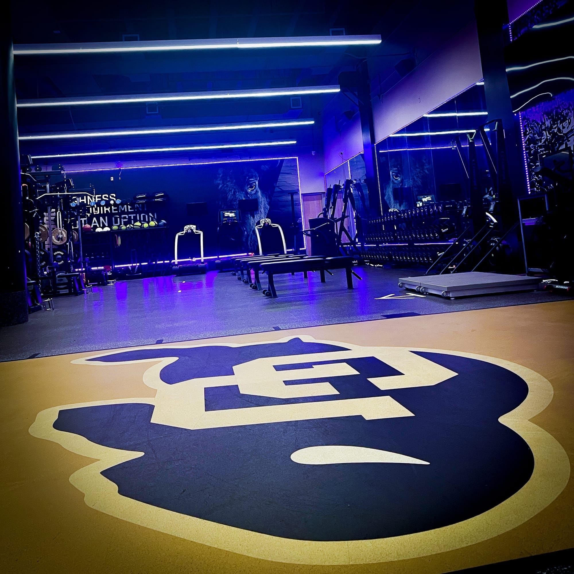 The Coaching Curve in Collegiate Strength and Conditioning