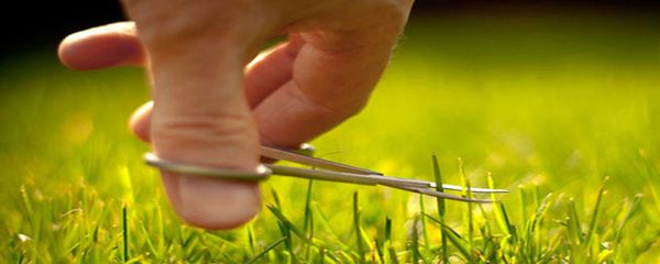 Not What You Do; It's How You Do It