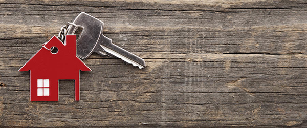 Financial Lessons within the Coaching Industry