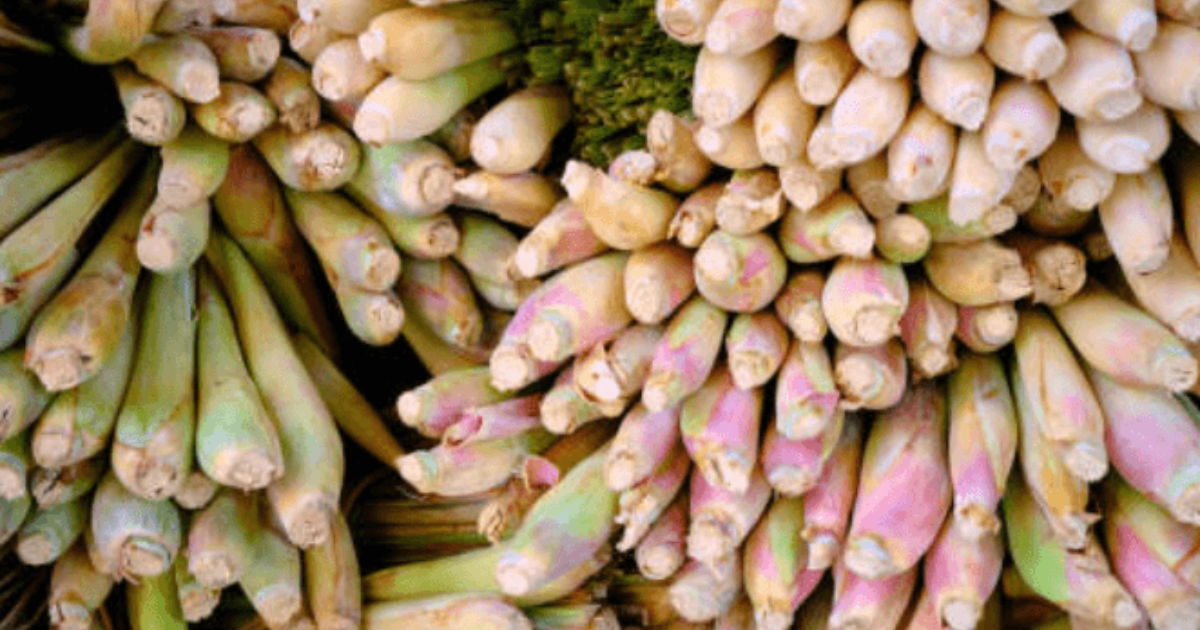 July 2025: Gingergrass Recap and Test Your Knowledge Quiz