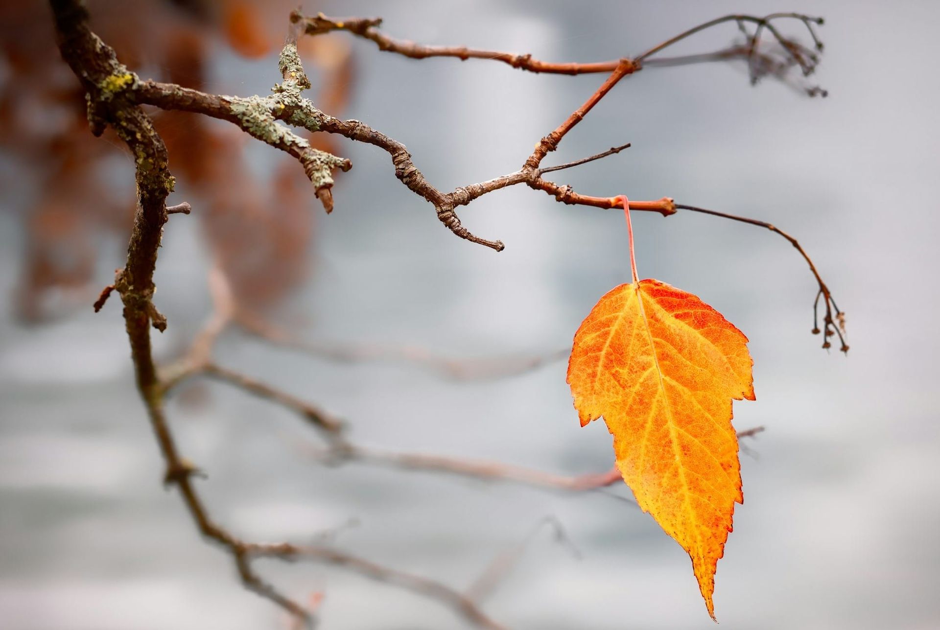 Case Study: Holding On