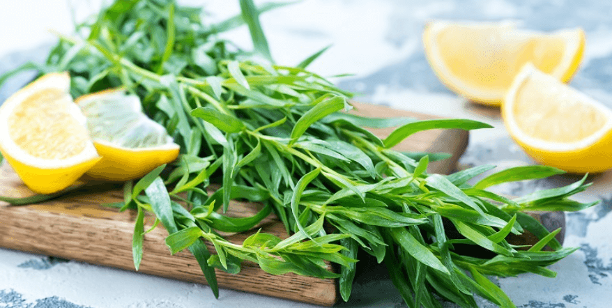 Tarragon July 2025 Replay