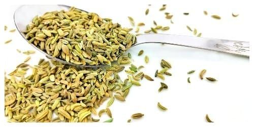 The Oil Within the Plant: Sweet Fennel