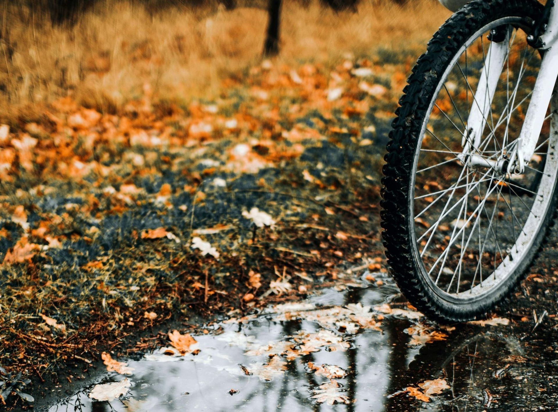 Case Study: Elemi for Minor Physical Trauma and Emotional Integration