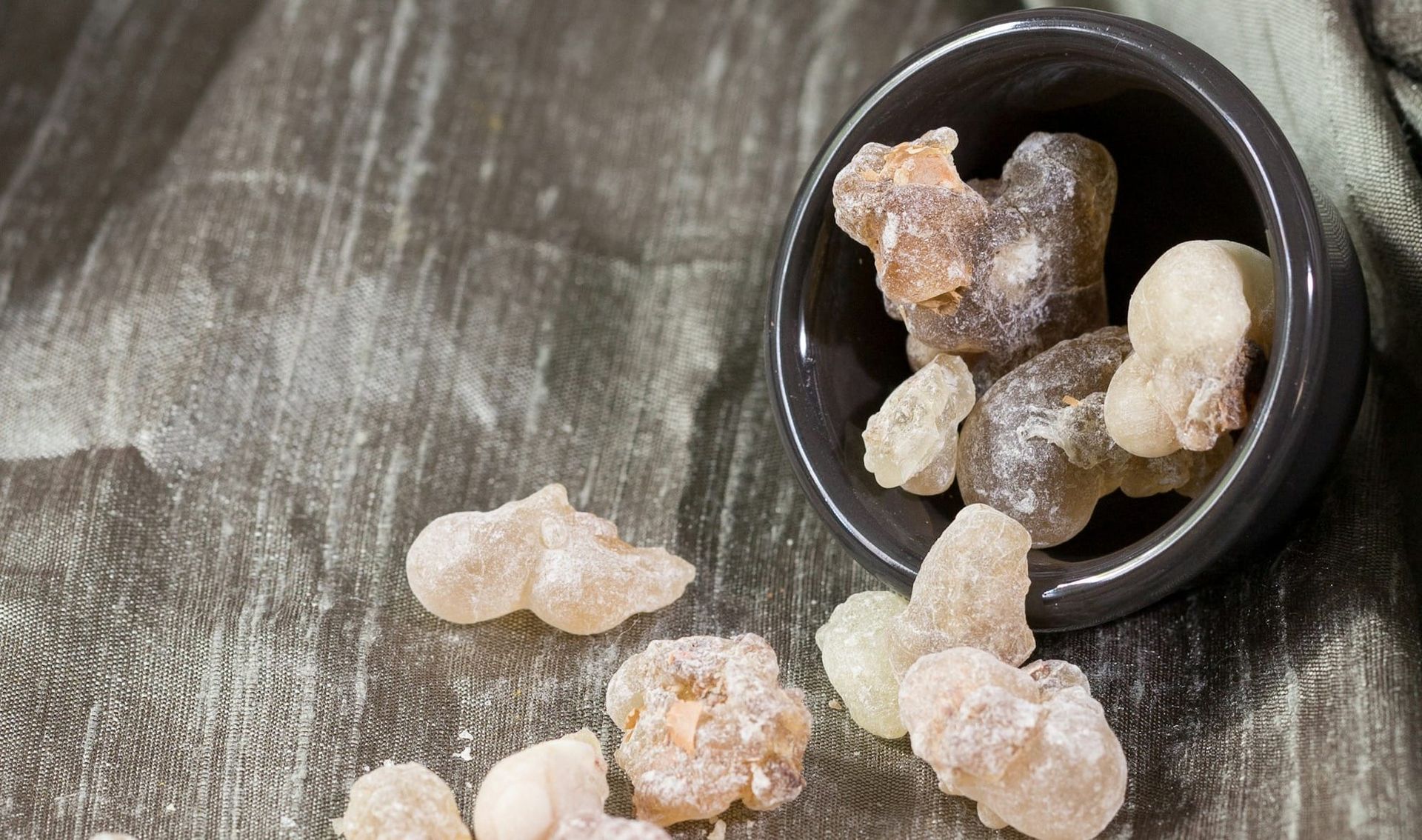 The Plant Behind the Oil: Frankincense (sacra)