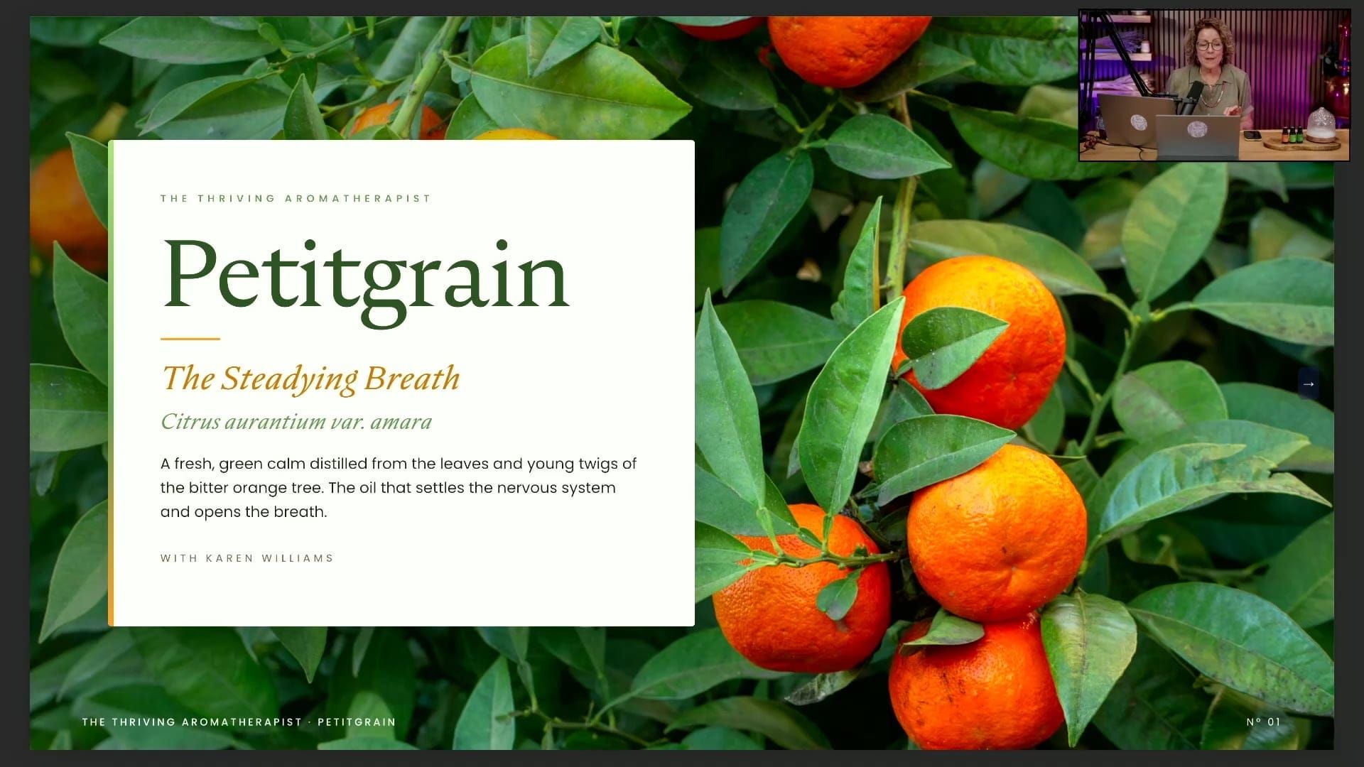 Petitgrain July 2026 Thrive Live event replay