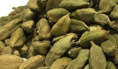 Cardamom October 2022 Replay