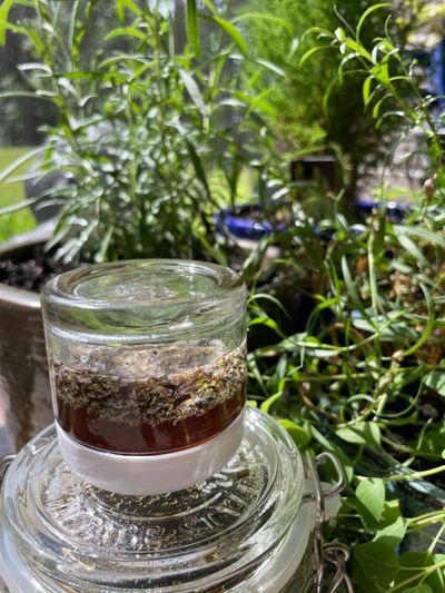 Herbal Honey Infusions
