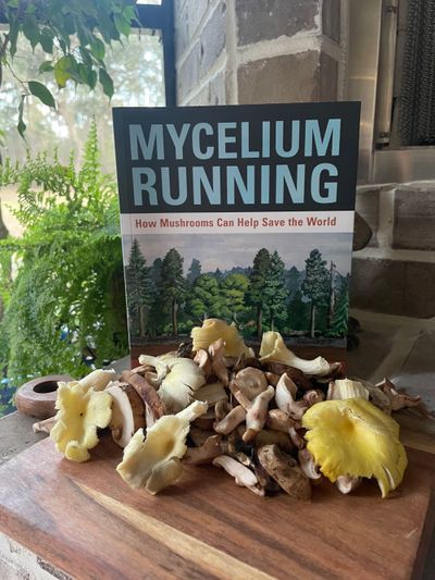 Mycelium Running: How Mushrooms Can Help Save the World