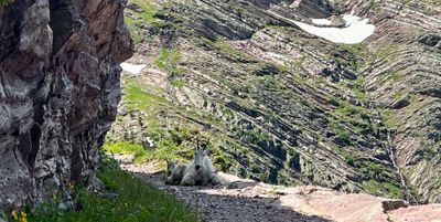 Thrive August Newsletter: Welcoming New Members, Exploring Cedarwood and Embracing Seasonal Delights