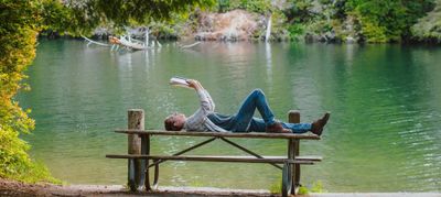 Lemon Wood Breeze: Citronella Java Bug-Repelling Area Refreshing Spray