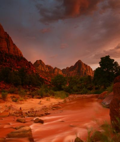 Desert Plants and Their Whisperings