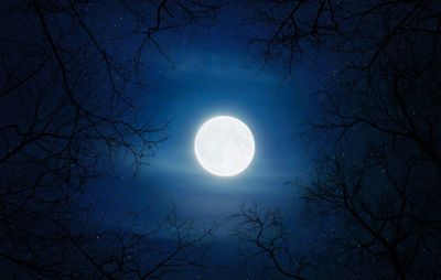 Davana May 2024 Replay