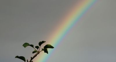 A Mindful Sit with Tamala