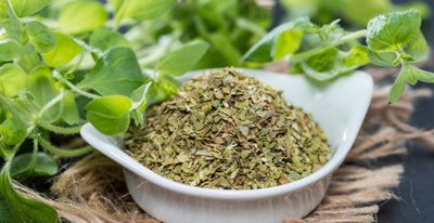 The Oil Within the Plant: Oregano