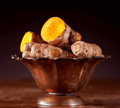 A Mindful Plant Sit with Plai