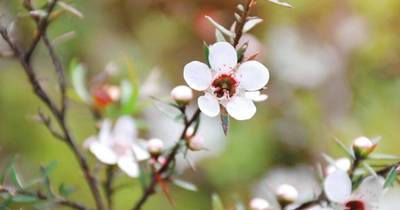 June 2025: Fragonia™ Recap and Test Your Knowledge Quiz