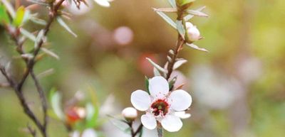 Fragonia® June 2025 Replay