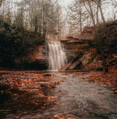 The Natural Rhythm & Aromas of the Season